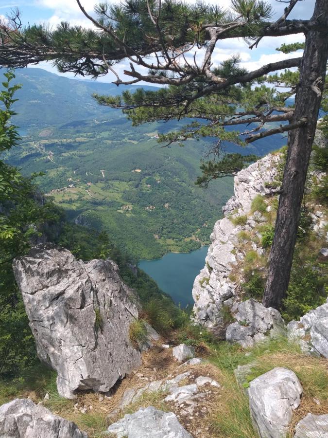 Vila Ciric Aparthotel Mitrovac Esterno foto