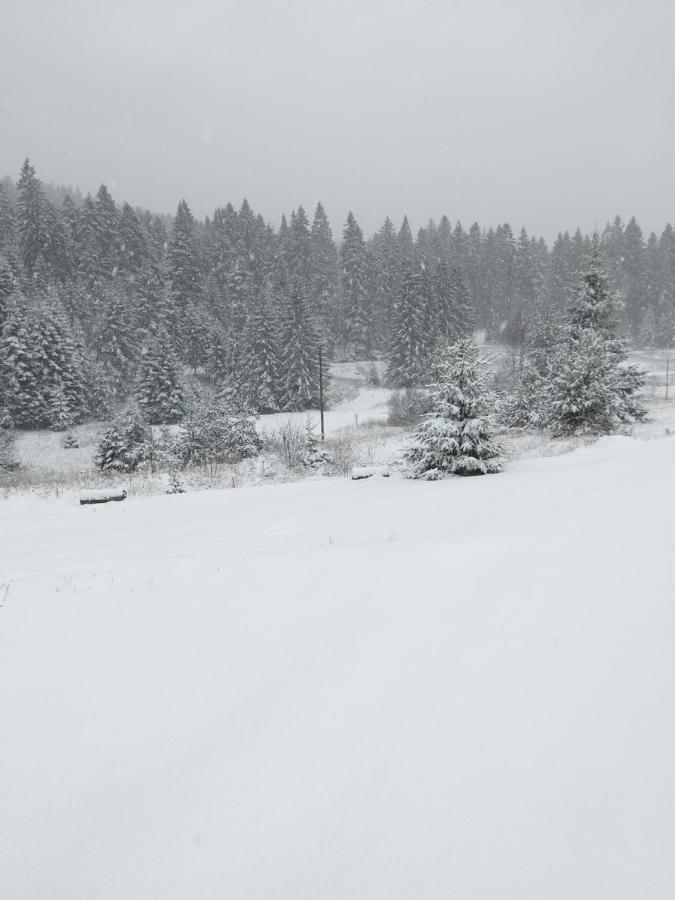 Vila Ciric Aparthotel Mitrovac Esterno foto